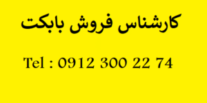 کارشناس بابکت در ایران
